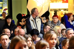 Zdjęcie: 2018-01-28-M.N.-   (77).JPG